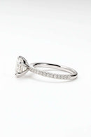Moissanite Solitaire Pavé Ring (2 ct) 5